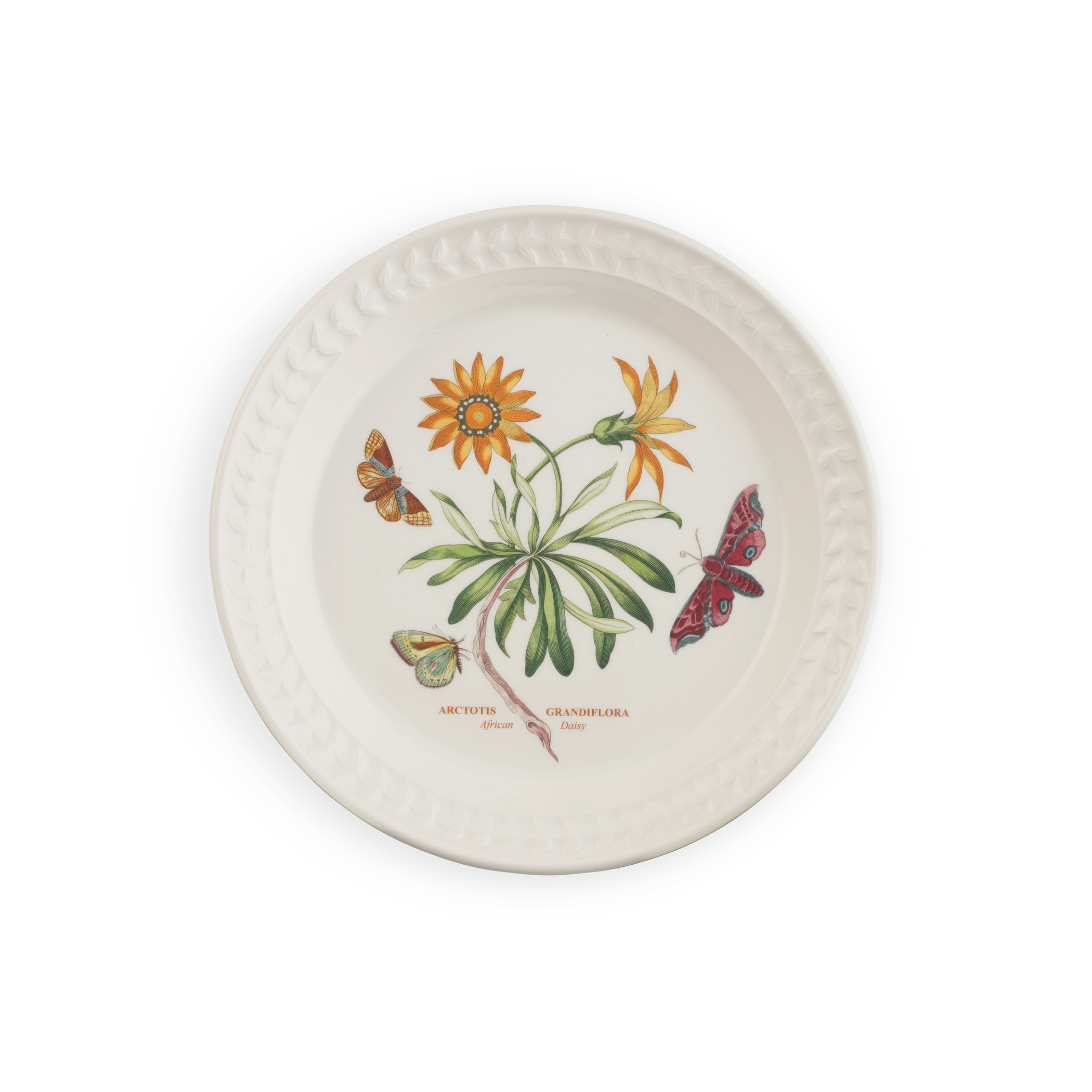 Botanic Garden Harmony Papilio Opal 8.5 Inch Salad Plate (African Daisy) image number null